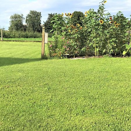 Ferienhaus Franziska Münstermaifeld Eksteriør bilde